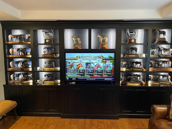 Custom Interior Cabinet Project Total Garage Charlotte
