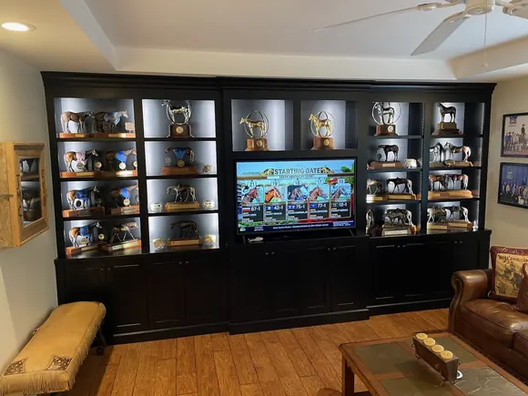 Equine Award Showcase Custom Cabinet